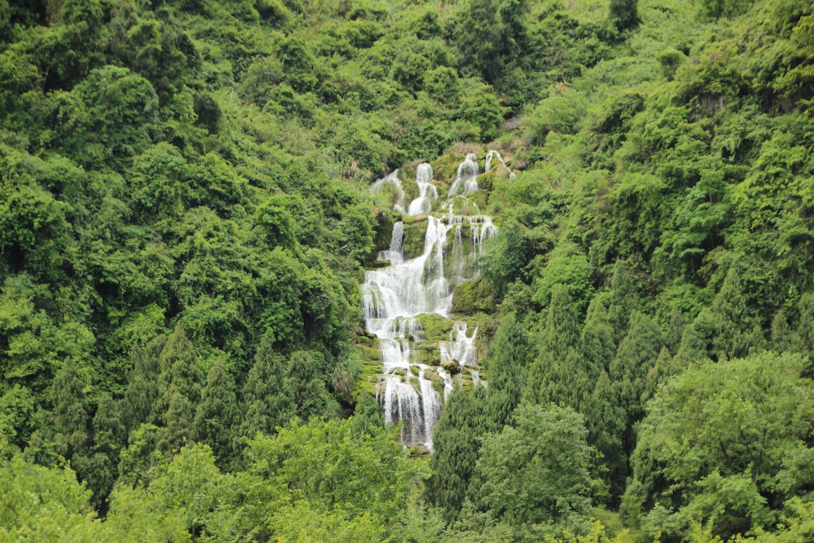 Hidden Savane Waterfall in Konkan surrounded by rainforest greenery.
